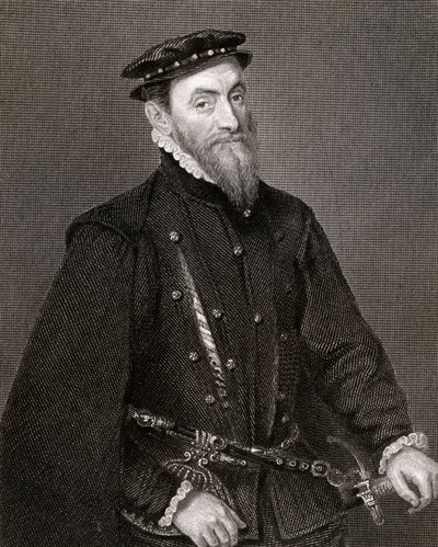 Ritratto di Sir Thomas Gresham (1519-79) da 